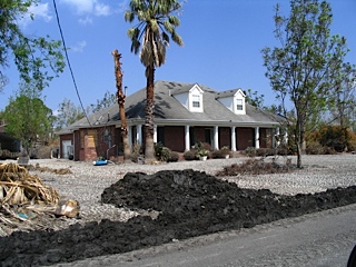 ruined front yard with palm trees and distant house